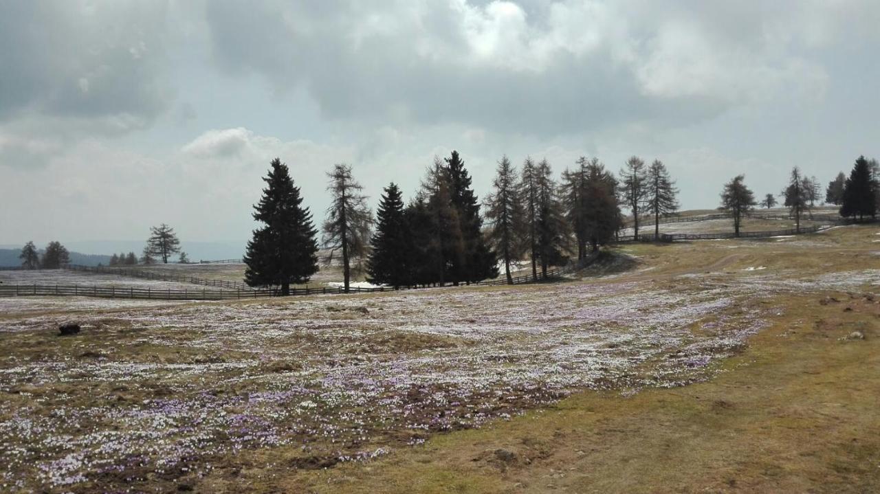 Alpenrose Lägenhet Meltina Exteriör bild