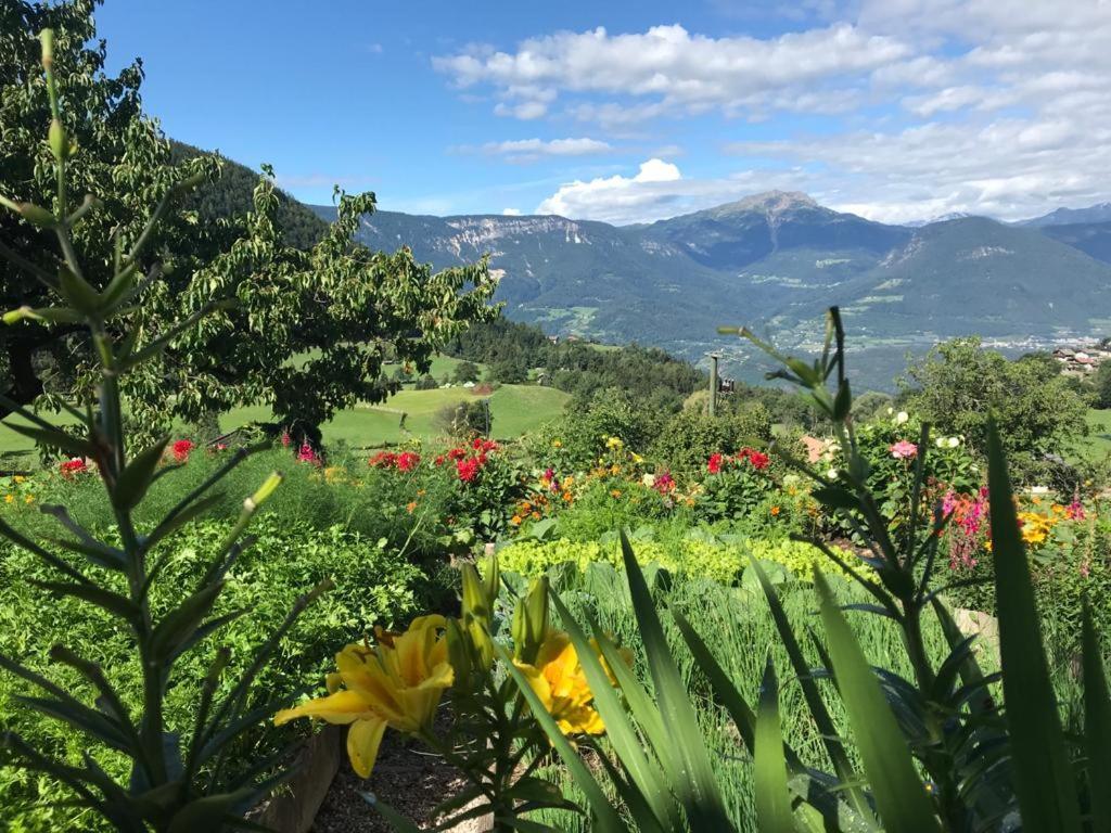 Alpenrose Lägenhet Meltina Exteriör bild