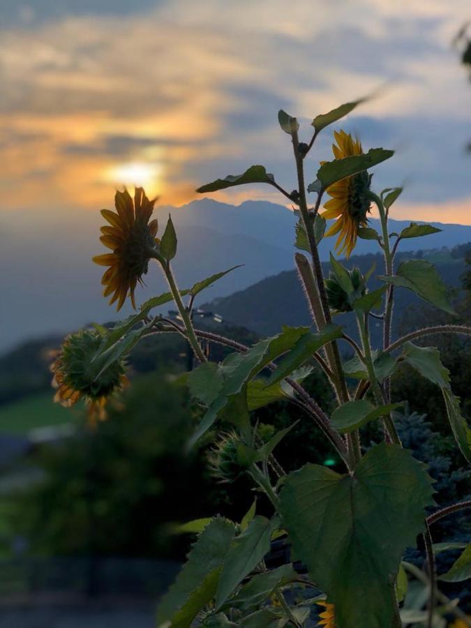 Alpenrose Lägenhet Meltina Exteriör bild