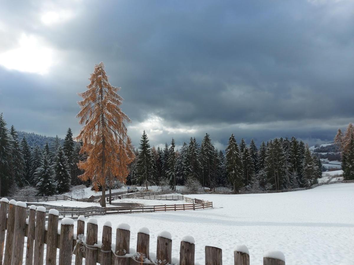 Alpenrose Lägenhet Meltina Exteriör bild